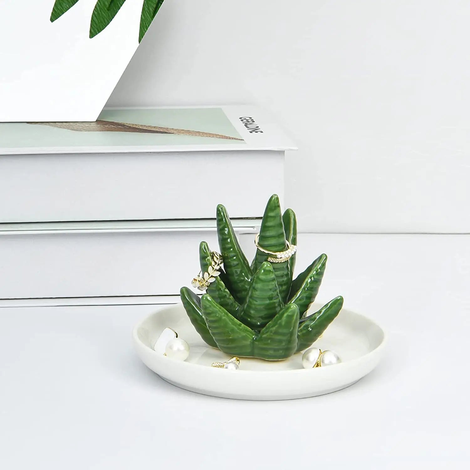 Porte bagues aloe vera